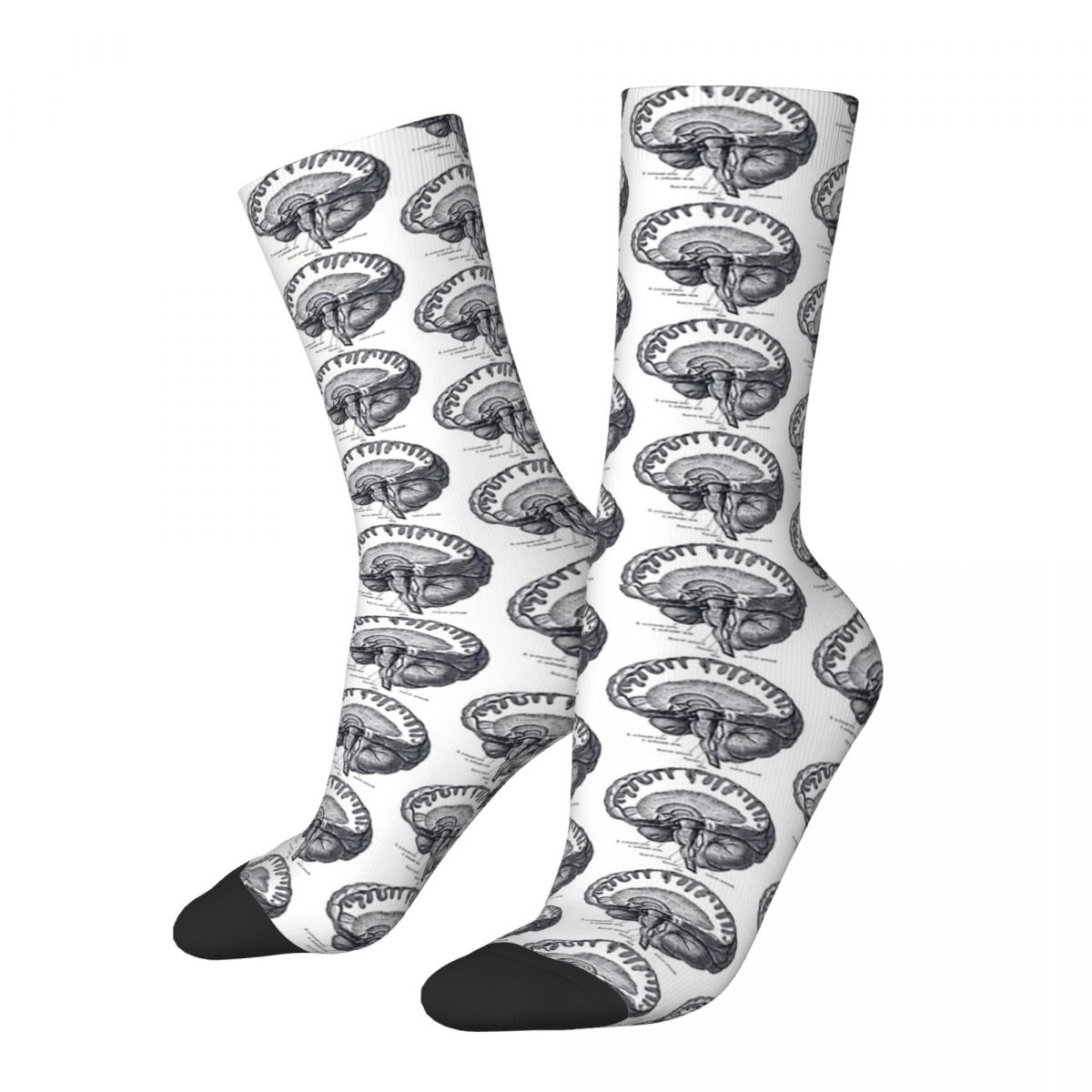 Brain Anatomy Socks Men's Women's Polyester Funny Happy Socks Harajuku Spring Summer Autumn Winter Socks Gift