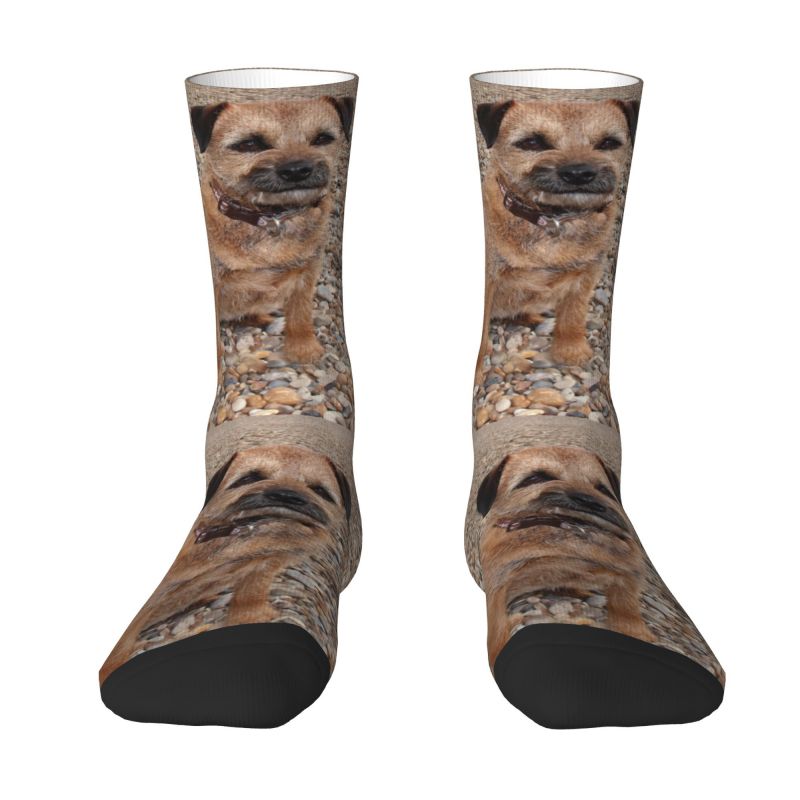 Cute Border Terrier Puppy Socks Men Women Warm 3D Print Kawaii Dog Football Sports Socks