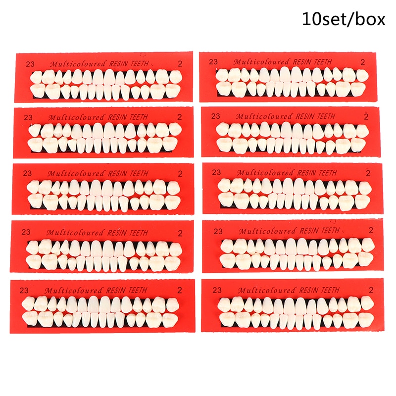 10sets Universal Teeth Teaching Model Dedicated Teeth False Teeth Resin Teeth Model Durable Dentures Dental Material