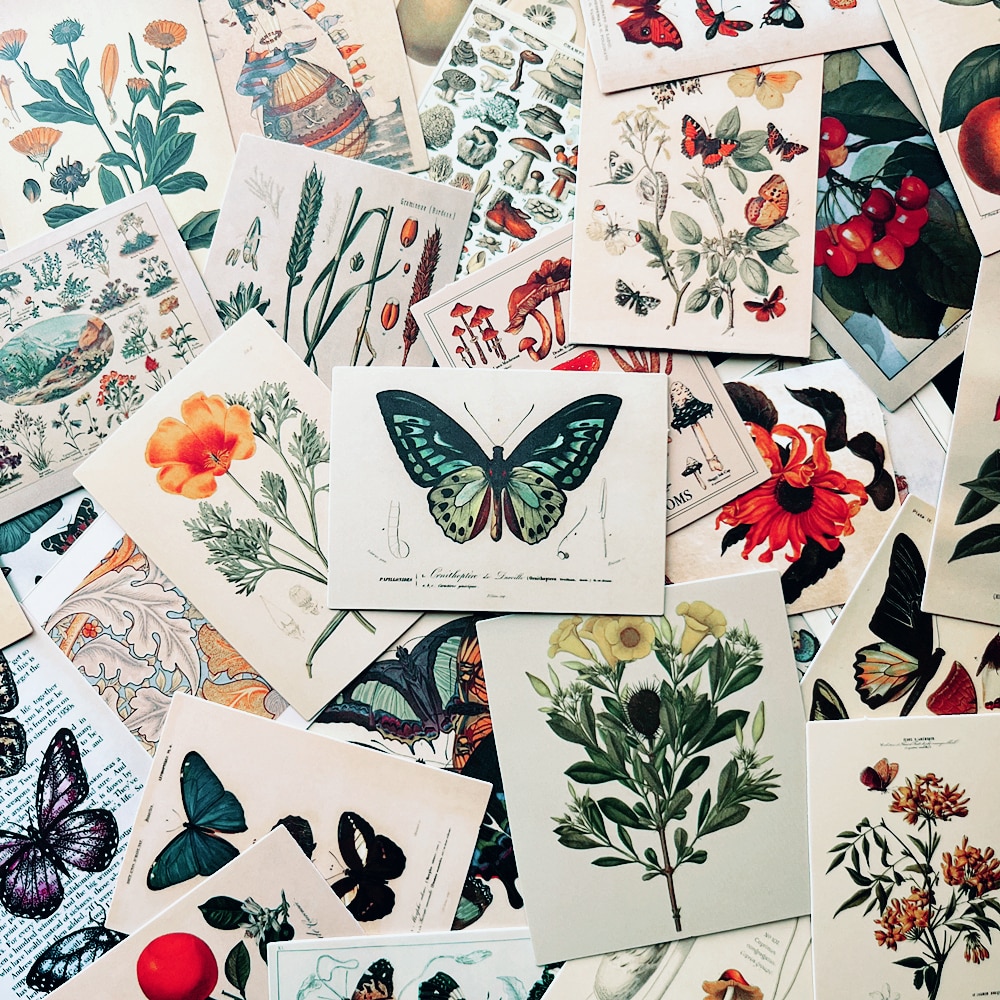 10/50PCS Retro Plant&Animals Aesthetics Classic Stickers Vintage For DIY Notebook Luggage Motorcycle Laptop Refrigerator Dec