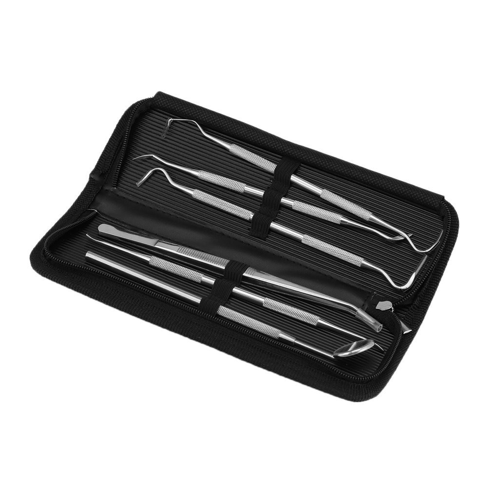 Professional 6 Pcs/Set High Quality Stainless Steel Lab Kit Dentist Wax Carving Teeth Tool Set With Bag