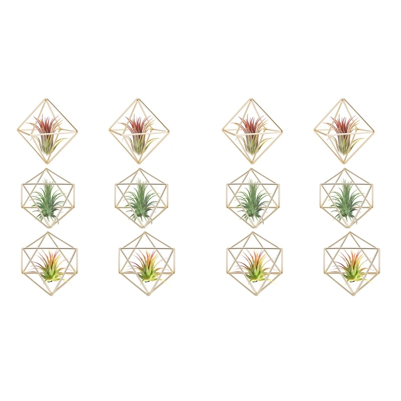 12 Pcs Air Plant Holder Mini Metal Tabletop Decor Modern Geometric Planter Tillandsia Display Stand Himmeli Decor