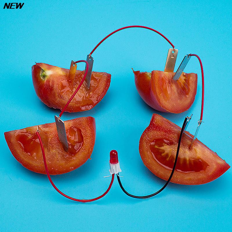 1SET Potato Fruit Supply Electricity Experiments Kids Children Student Learining ChemistryTeaching Tool Bio Energy Science Kit