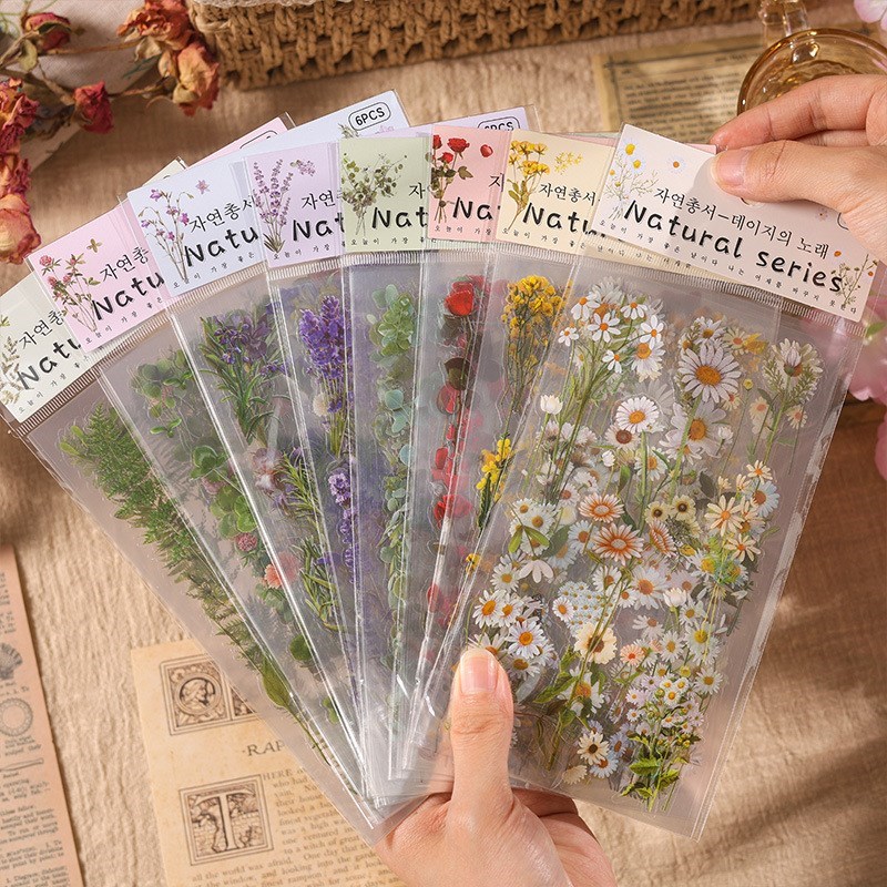 6 Pcs Cute Retro Floral Sticker Set PET Transparent Flower Stickers For Scrapbook Planner Journaling DIY Crafts Cards Album