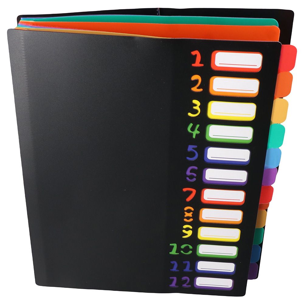 Black Cover File Folder Organiser Paper Plastic Expanding File Box Rainbow Lining A4 Document Folder Organiser Office
