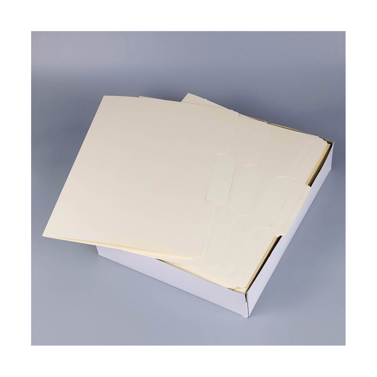 Hanging File Folders, Letter Size,1/5-Cut Adjustable Tabs, 100 Per Box