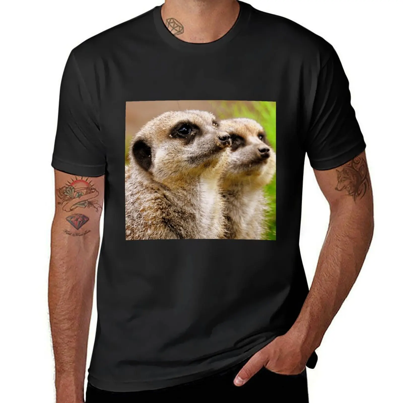 Transfixed T-Shirt sweat cute clothes heavyweight t shirts for men
