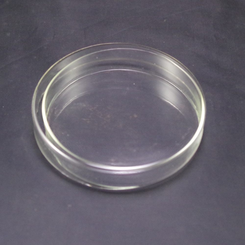 Petri dishes with lids clear glass 100mm LOT2
