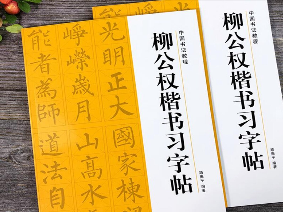 Chinese Calligraphy Book Liu Gongquan Course Of Regular Script Style Calligraphy Copybook