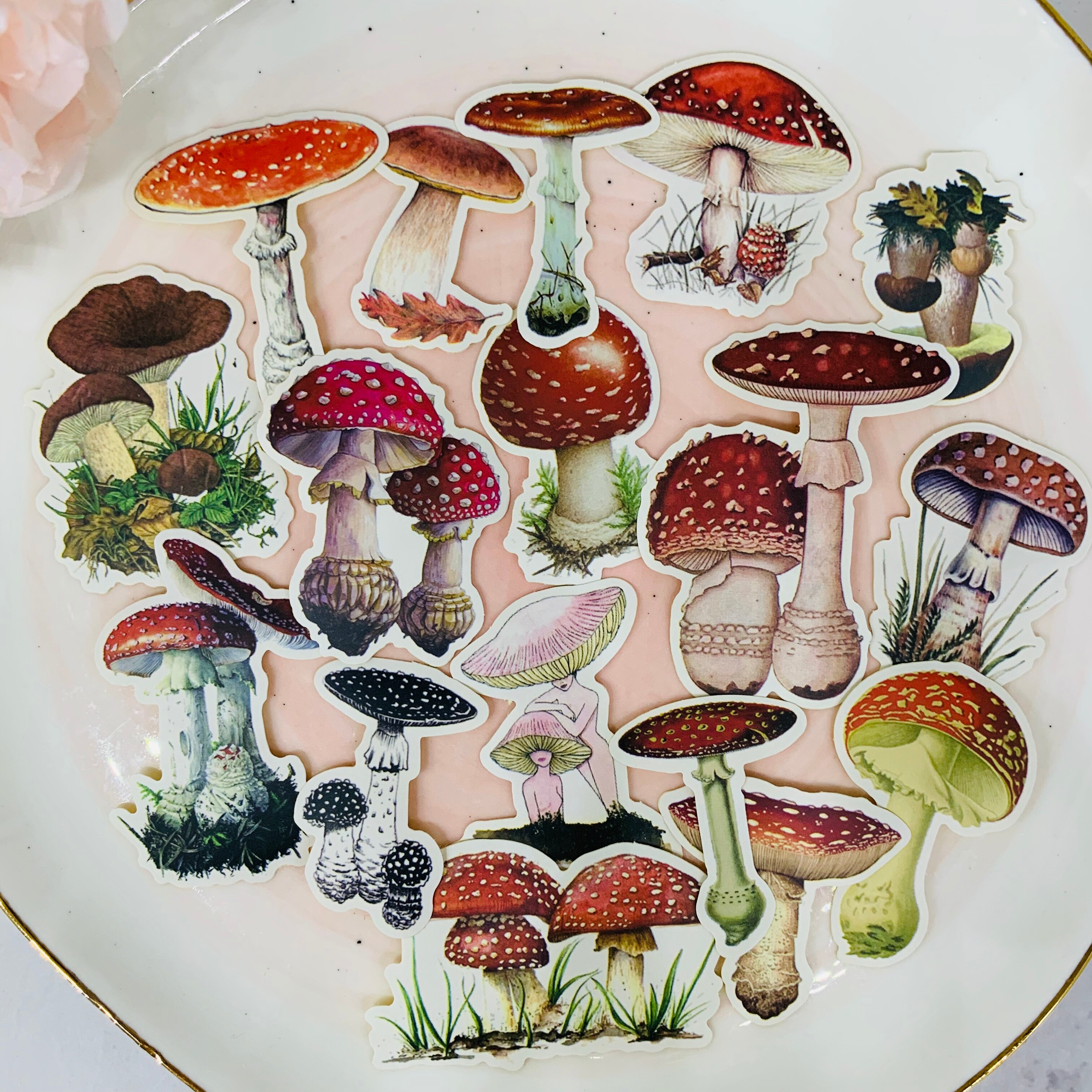 17Pcs/Pack Vintage Mushroom Sticker DIY Craft Scrapbooking Album Junk Journal Happy Planner Decorative Stickers