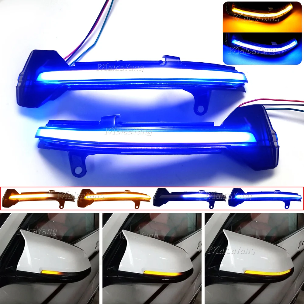 2pcs For BMW 5 6 7 Series F10 F11 F07 F06 F12 F13 F01 Dynamic Turn Signal LED Rearview Mirror