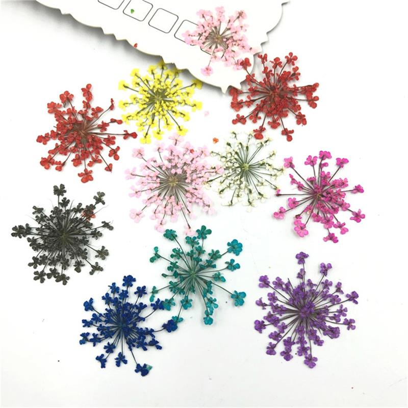 30Pcs Pressed Natural Dried Plants Dry Flower Necklace DIY Craft Jewelry Making Accessories Artificial Flower Decorations Nail