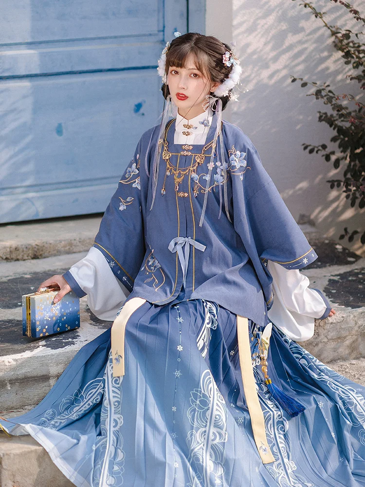 Princess Chinese Hanfu Women Embroidery Ancient Costumes Pleated Skirt Ming Dynasty Cosplay