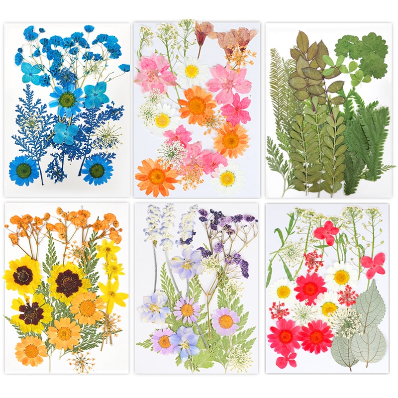 Real Dry Flower Dried Plants Natural Colorful DIY Epoxy Resin Filling Materials Aromatherapy Candle Making Home Decoration
