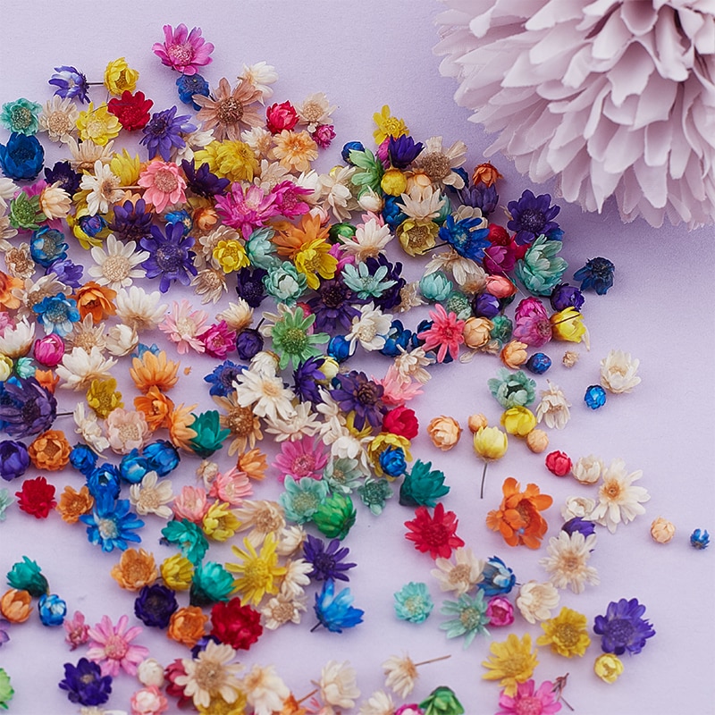 1Pack Dried Flowers Resin Filler Brazil Little Star Flower DIY Aromatherapy Candle Decor Art Craft Jewelry Making Accessories