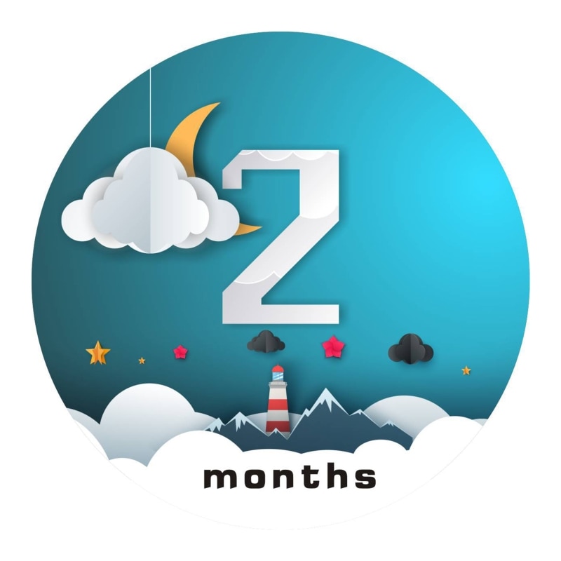 12Pcs Baby Monthly Milestone Stickers 1-12 Months Photo Picture Props for Infant Baby Newborn Scrapbook Accessories H055