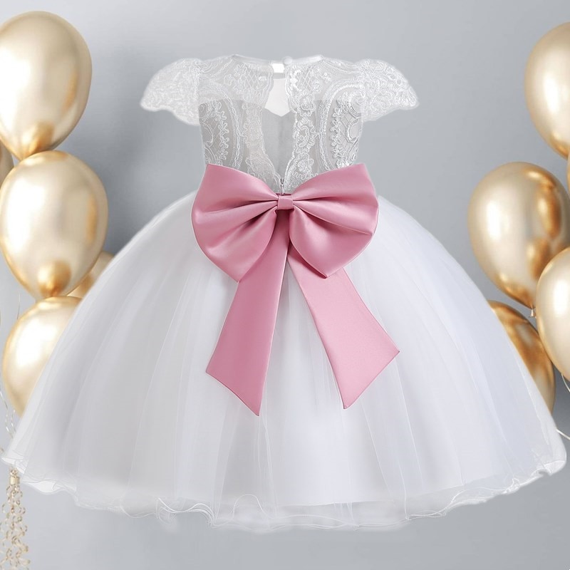 Flower Girl Dress for Party and Wedding Embroidery Lace Kids Elegant Princess Dress Ruffles Backless Baby Birthday Baptism Dress