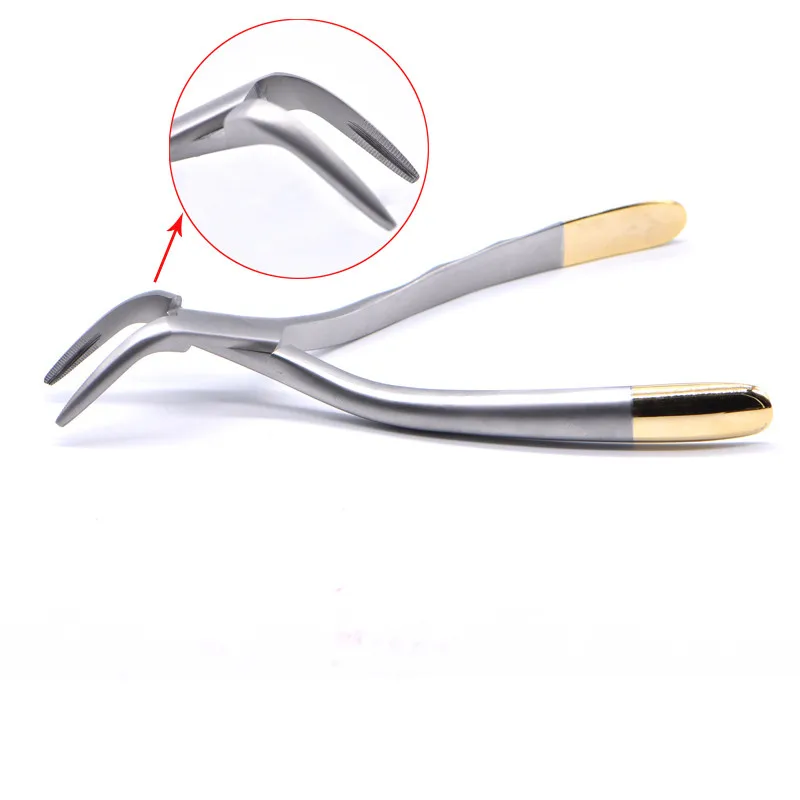 Dental Root Fragment Tooth Extraction Forceps Pliers Instrument Curved Maxillary Mandibular Tool