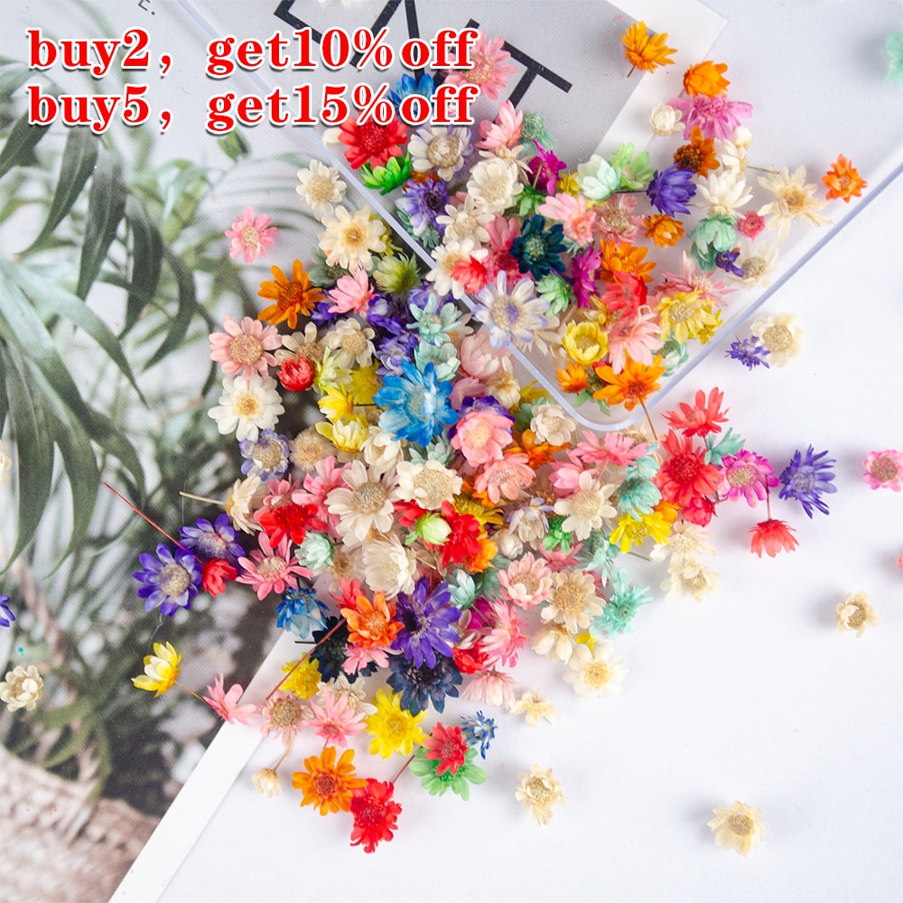 Real Dried Flower Little Star Flower for DIY Epoxy Resin Jewelry Making Accessories Crystal Glue Mold Filling Craft Decor