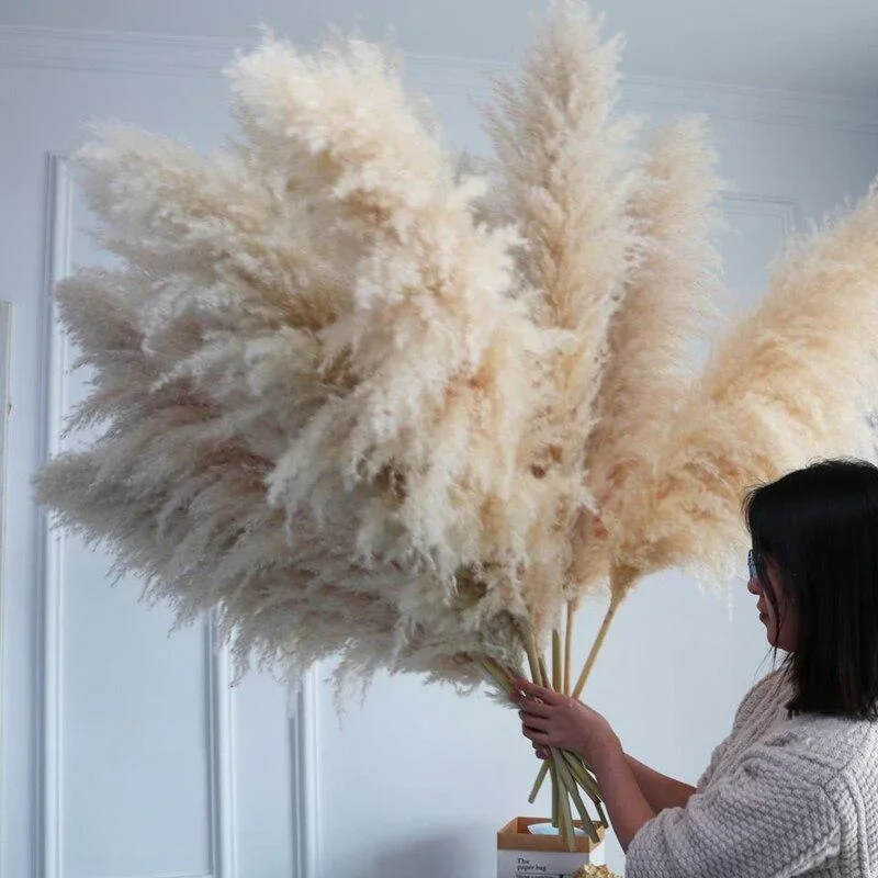110 - 120cm Large Plume,Dried Fluffy Pampas Grass,Wholesale Boho Wedding Decor,Natural Real