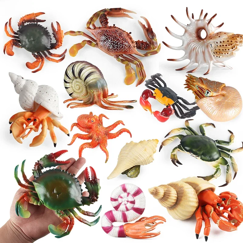 Oenux Ocean Animals Simulation Hermit Crab Nautiloidea Octopus Sea Life Model Figurines Action