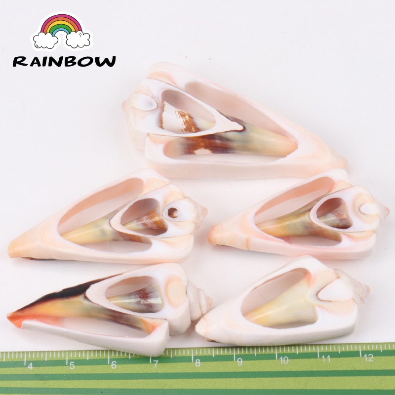 Natural Spiral Shell Loose Beads Charm Conch At Random Gold For Decoration Jewelry Making DIY Accessories 40-53mm 5pcs