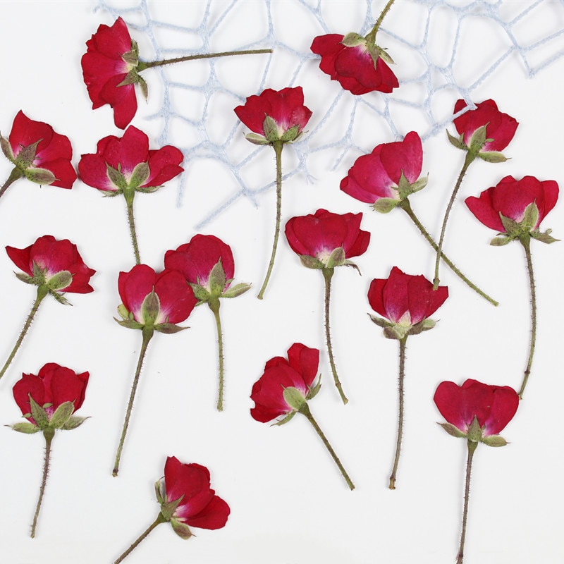 Side pressure rose bud jacquard flower real flower glue ornament material picture frame nail art dry flower makeup diy activity